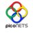 picoNETS Logo