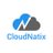 CloudNatix标志