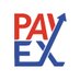 全球PayEx标志