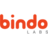 Bindo Labs Logo