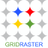 GridRaster标志