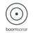 BoomSonar标志